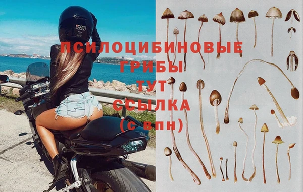 гашишное масло Балабаново