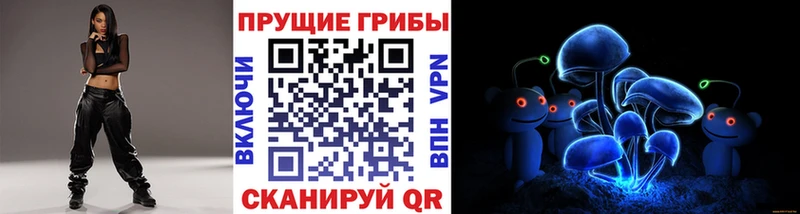 где купить наркоту Велиж Псилоцибиновые грибы Psilocybine cubensis
