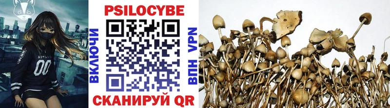 Галлюциногенные грибы Psilocybine cubensis Велиж